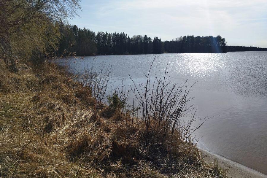 Bild nr 2 på Älgsjöns badplats