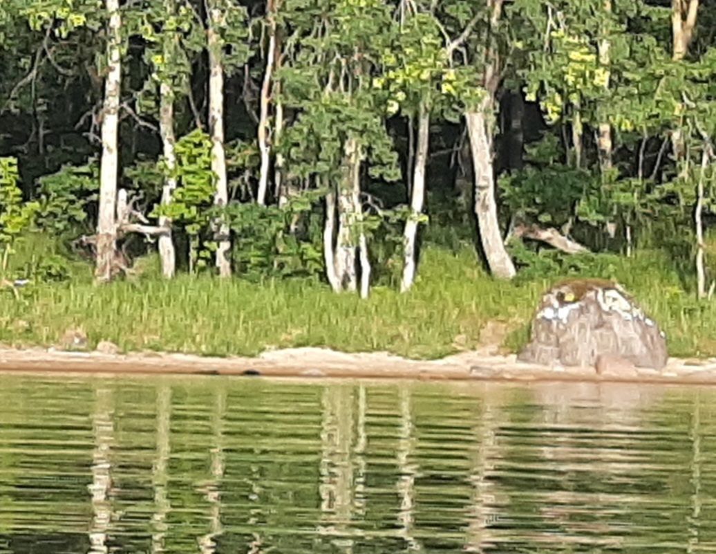 Bild nr 2 på medhamra badet