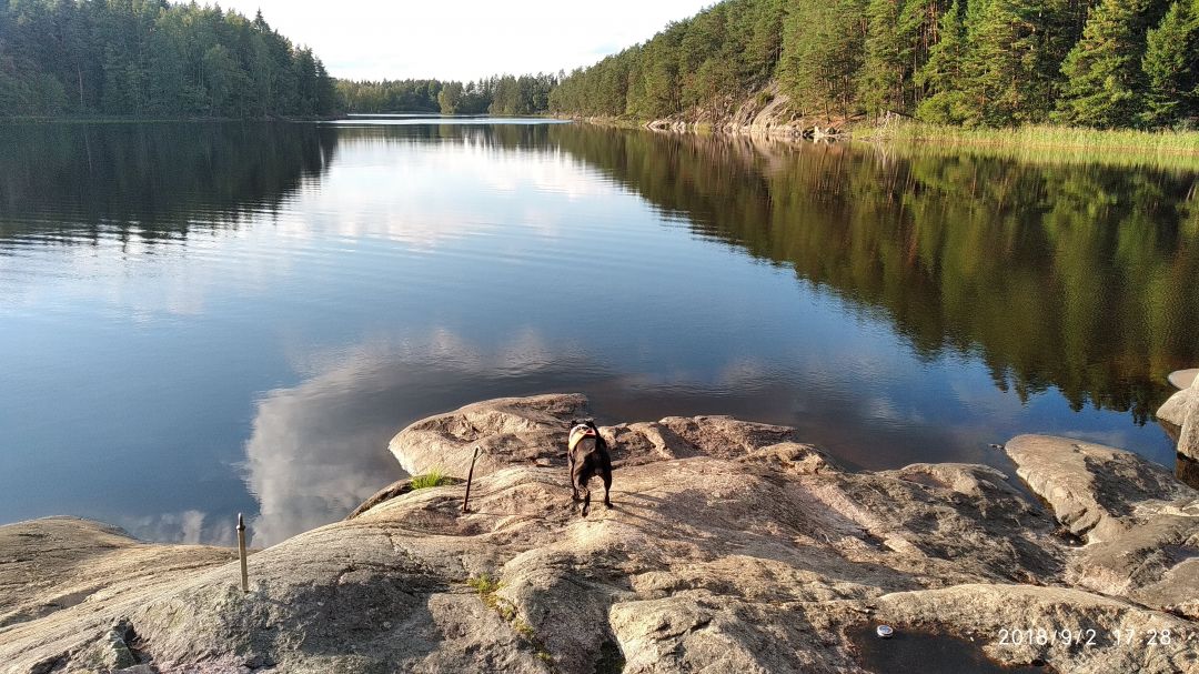 Bild nr 1 på rinkebybadet