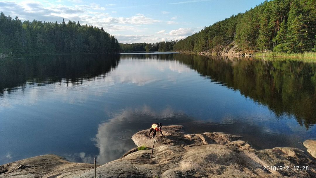 Bild nr 2 på rinkebybadet