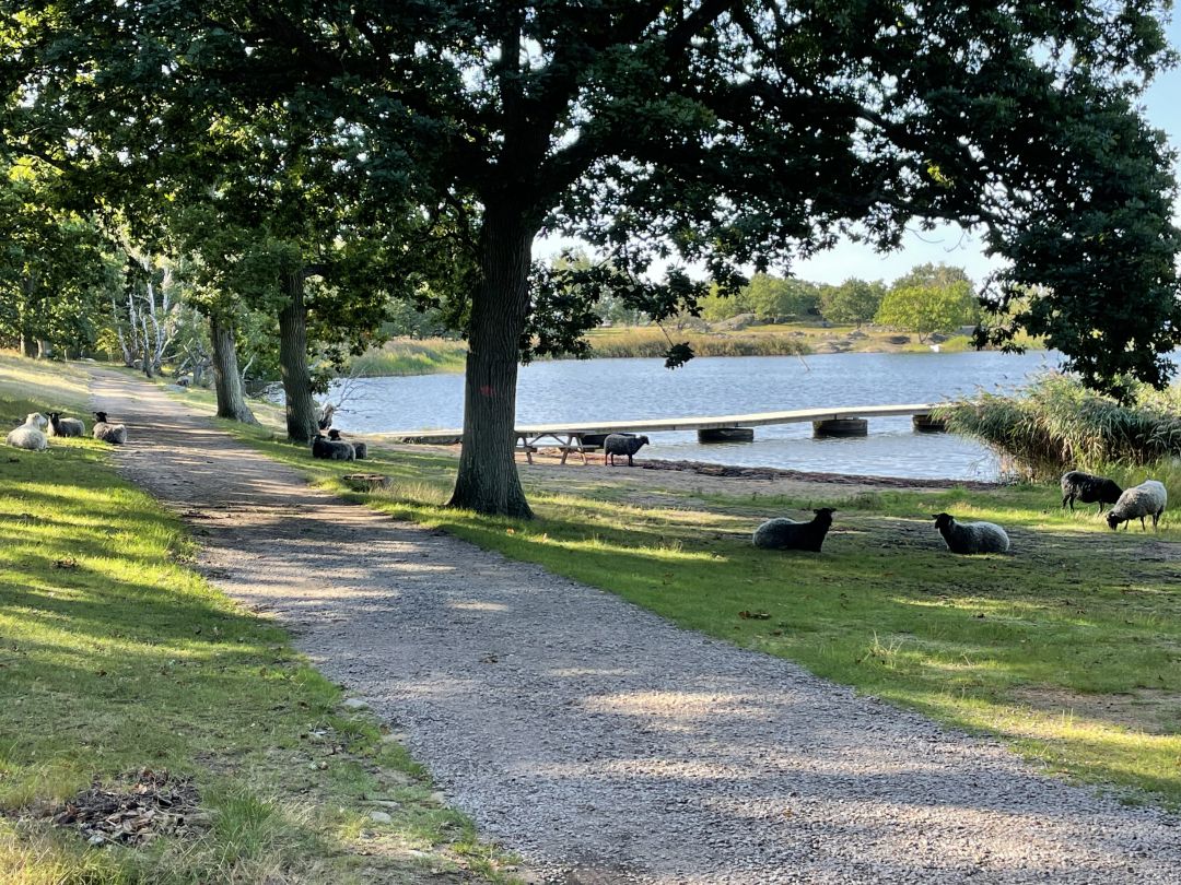 Knösö havsbad