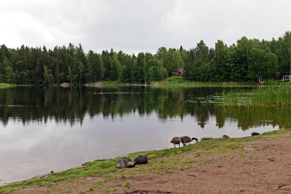Ramsjöns badplats i Vendelsö