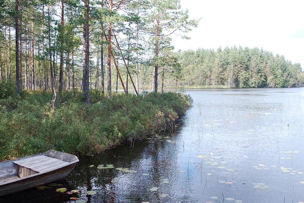Skärsjöns badplats i Skinnskatteberg