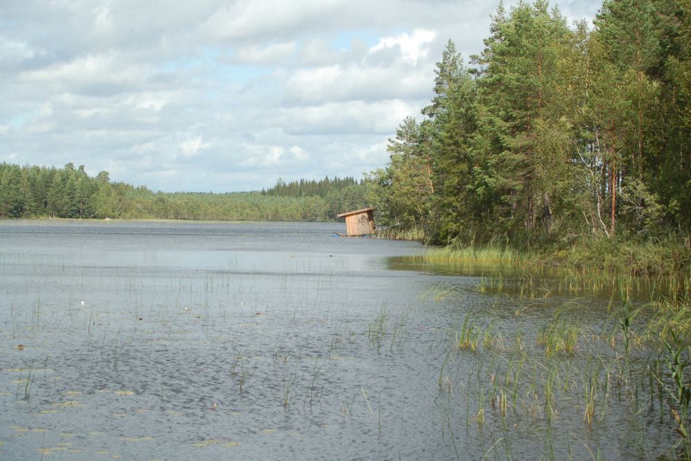 Bild nr 2 på skärsjöns badplats