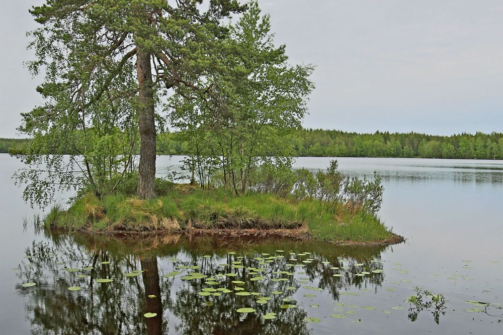 Bild nr 1 på orranäsasjön