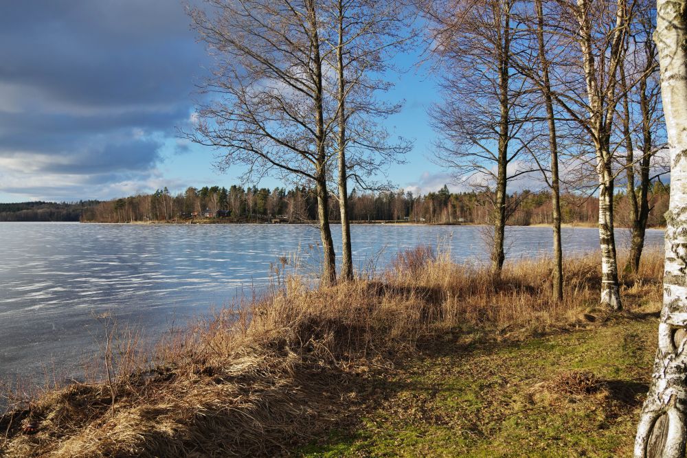 Bild nr 3 på sandskens badplats